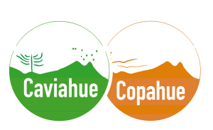 Nuevas Regulaciones de Tráfico Invernal en Caviahue-Copahue